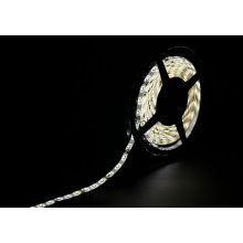 60SMD3528 4.8W/M White LED Strip